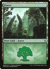 Forest (B08/010) - FOIL PROMO Ravnica Weekend Gruul 2019